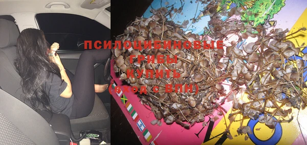 дмт Алексеевка
