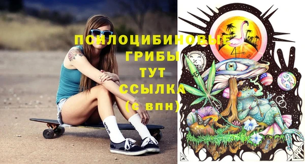 дмт Алексеевка