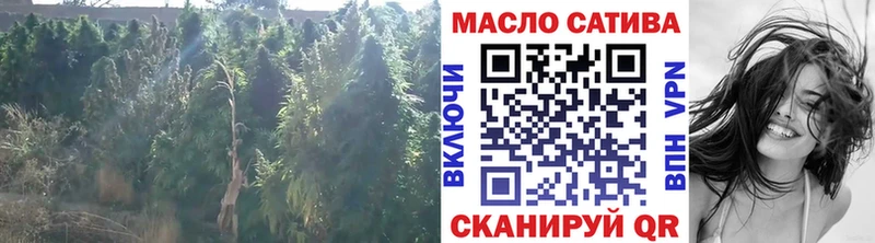 что такое   Самара  ТГК THC oil 