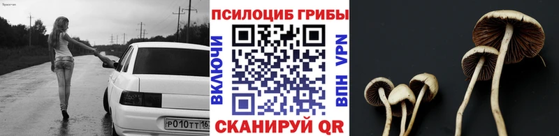 mega tor Самара Галлюциногенные грибы Psilocybe где купить наркотик