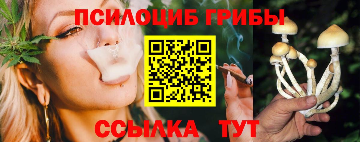 Галлюциногенные грибы ЛСД  цена   Самара  Вход с VPN 